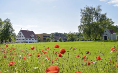 Pfingsten im Allgäu