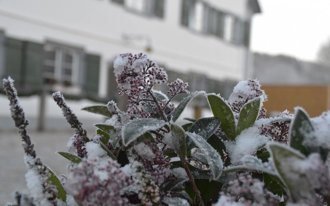 Wintertage im Allgäu