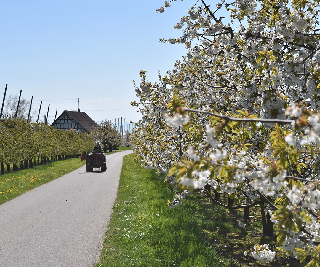 Osterangebot im Hotel zwischen Allgäu und dem Bodensee