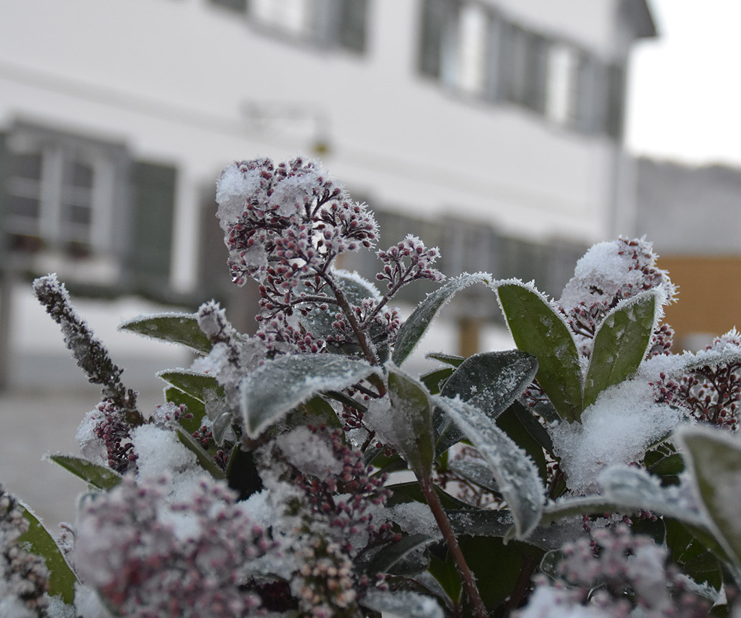 Silvester Angebot im Allgäu - Hotel Hofgut Farny