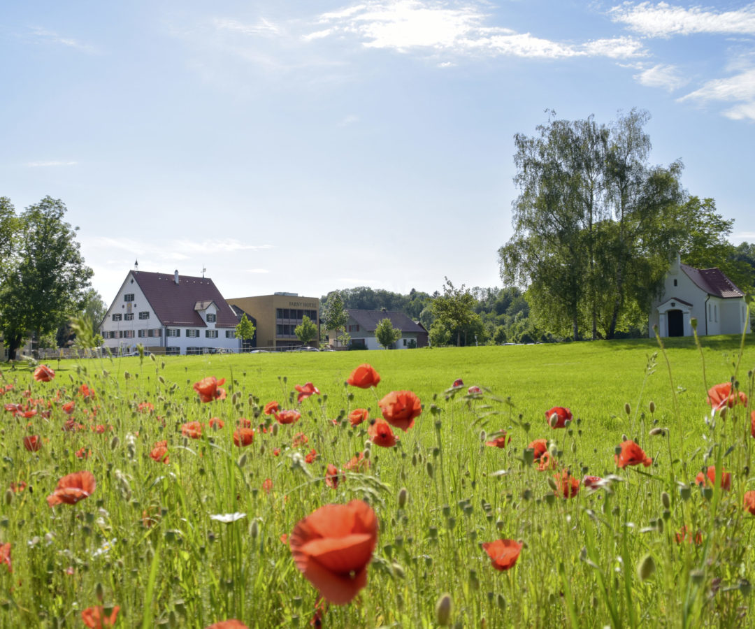 Pfingsten im Allgäu auf dem Hofgut Farny bei Wangen und Kißlegg im Allgäu