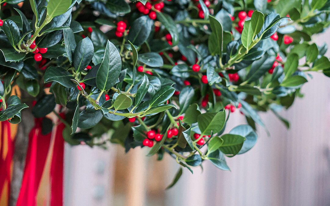 Adventskaffee