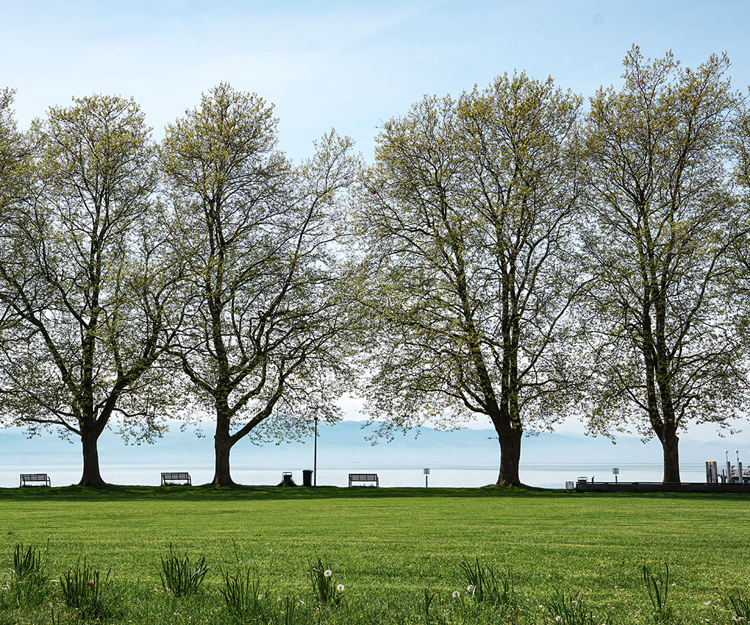 Oster-Angebot im Hotel Hofgut Farny